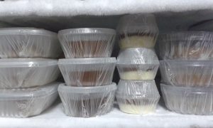 Alimentos Congelados - Receitas da Tia Céu