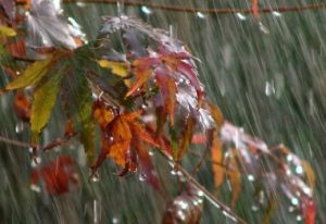 chuva-Receitas da Tia Céu