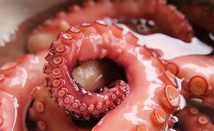 O segredo de um polvo cozido sempre tenro e macio