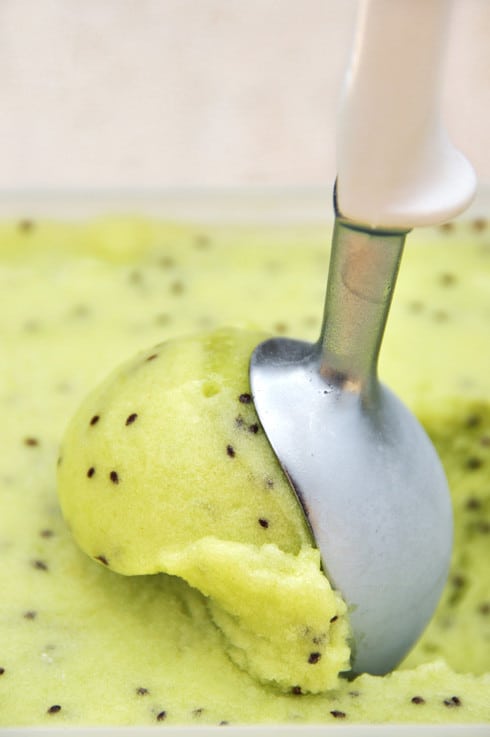 Sorbet de kiwi 