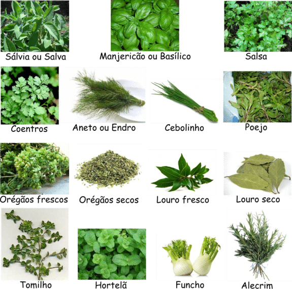 tabela de especiarias frescas, como identificar - Receitas da Tia Céu