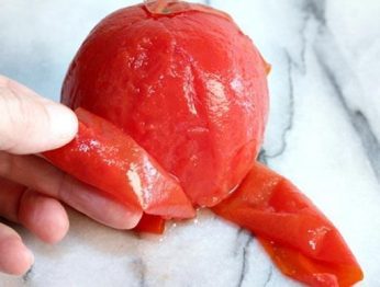 retirar a pele do tomate - Receitas da Tia Céu